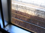 IMG_0076_640.jpg