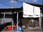 RIMG0268.jpg