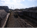 RIMG0331.jpg