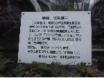 RIMG0337.jpg