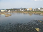 IMG_0215_640.jpg