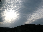IMG_0254_640.jpg