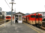 IMG_0295_640.jpg
